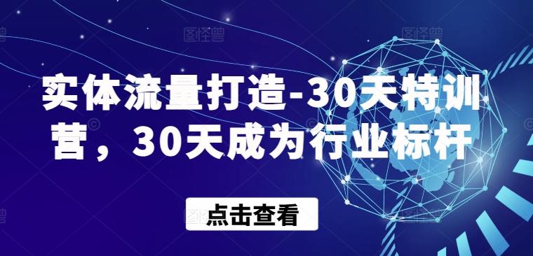 实体流量打造-30天特训营，30天成为行业标杆-九洲网