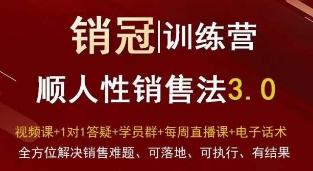 爆款！销冠训练营3.0之顺人性销售法，全方位解决销售难题、可落地、可执行、有结果-九洲网