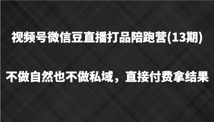 视频号微信豆直播打品陪跑(13期)，不做不自然流不做私域，直接付费拿结果-九洲网