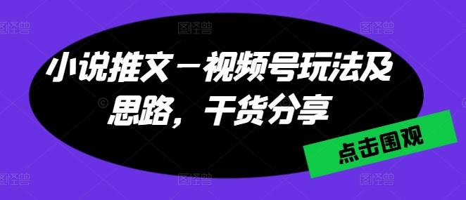 小说推文—视频号玩法及思路，干货分享-九洲网
