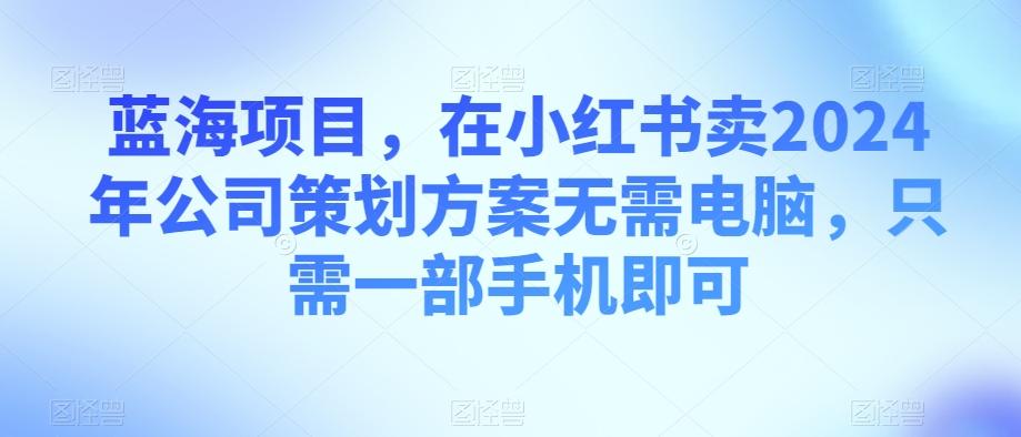 蓝海项目，在小红书卖2024年公司策划方案无需电脑，只需一部手机即可-九洲网