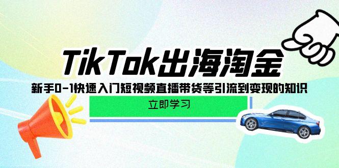 (10035期)TikTok-出海淘金，新手0-1快速入门短视频直播带货等引流到变现的知识-九洲网