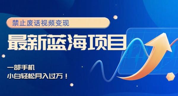 最新蓝海项目，靠禁止废话视频变现，一部手机，小白轻松月入过万！-九洲网