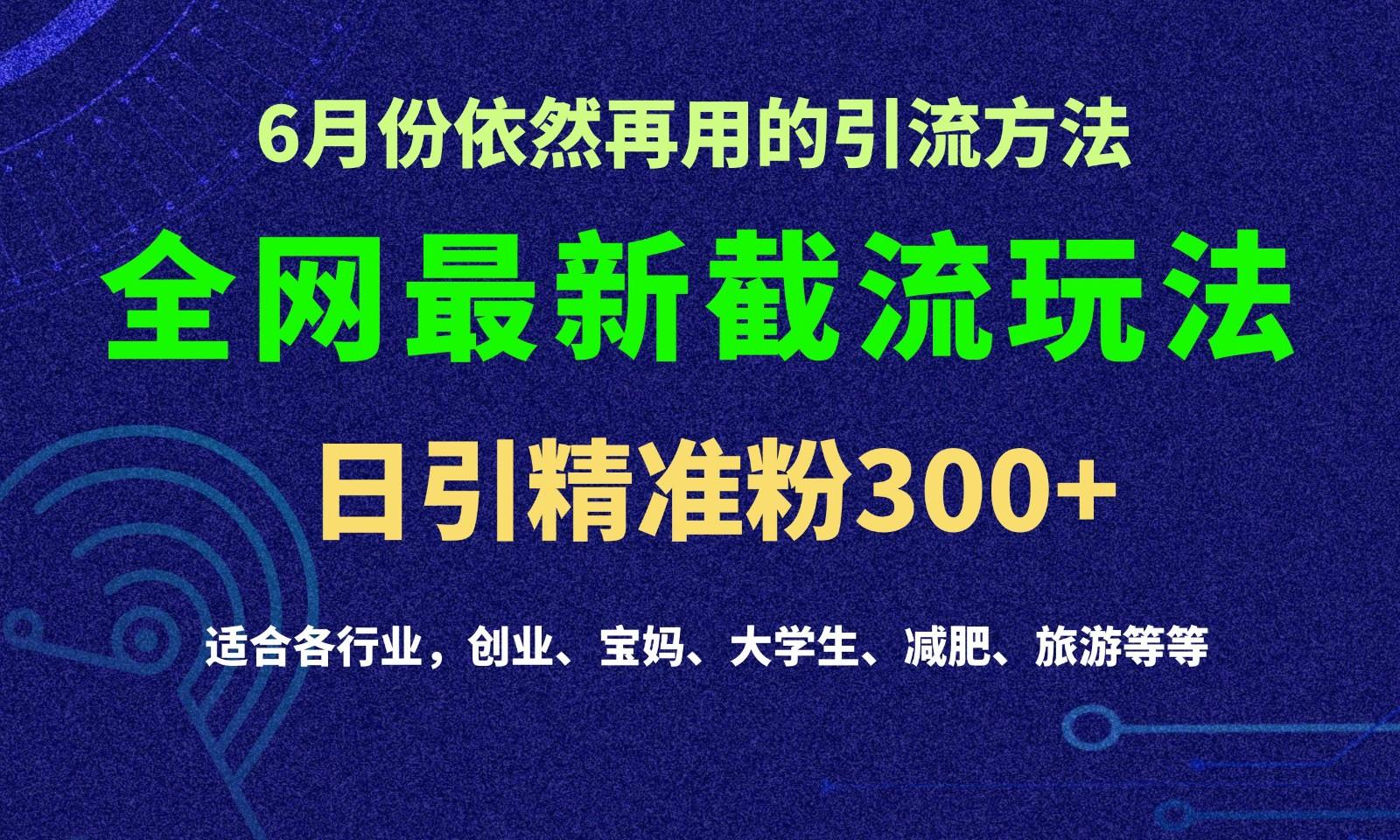 2024全网最新截留玩法，每日引流突破300+-九洲网