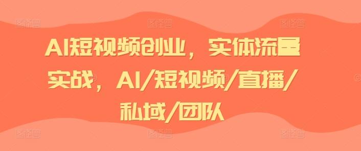 AI短视频创业，实体流量实战，AI/短视频/直播/私域/团队-九洲网
