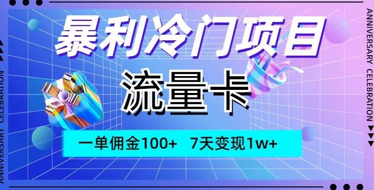 暴利冷门项目，流量卡，一单佣金100+，7天变现1w+-九洲网
