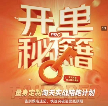淘宝开单秘籍PRO，量身定制淘天实战陪跑计划，告别做店迷茫、快速突破运营瓶颈期-九洲网