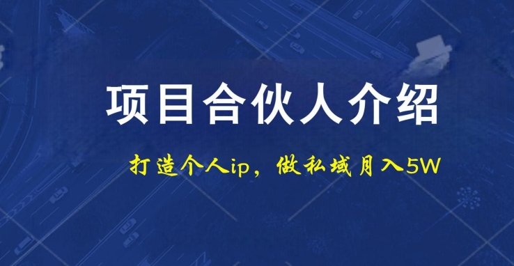 项目合伙人项目，打造个人IP，做私域月入5W，小白勿扰-九洲网