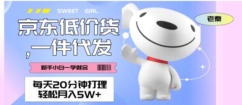 每天20分钟打理京东低价货，一件代发-轻松月入5W＋-九洲网