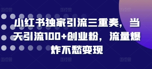 小红书独家引流三重奏，当天引流100+创业粉，流量爆炸不愁变现【揭秘】-九洲网