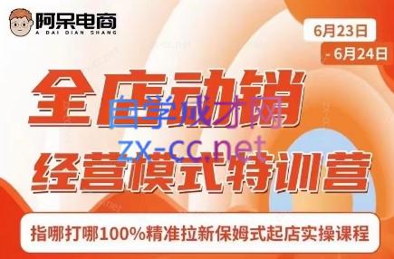 阿呆电商·全店动销经营模式特训营(线下录音+思维导图)-九洲网