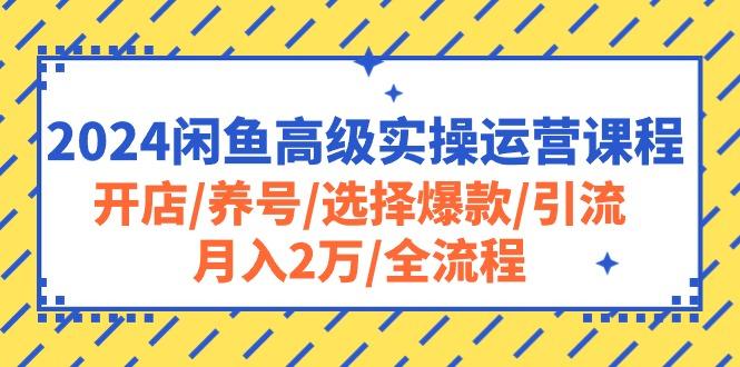 2024闲鱼高级实操运营课程：开店/养号/选择爆款/引流/月入2万/全流程-九洲网