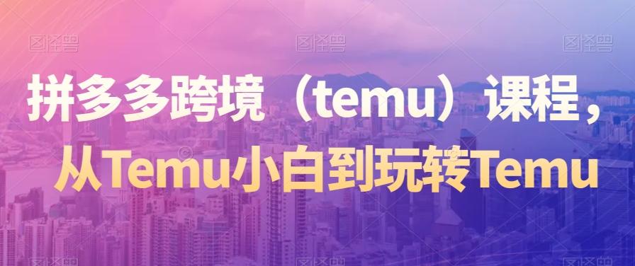 拼多多跨境（temu）课程，从Temu小白到玩转Temu-九洲网