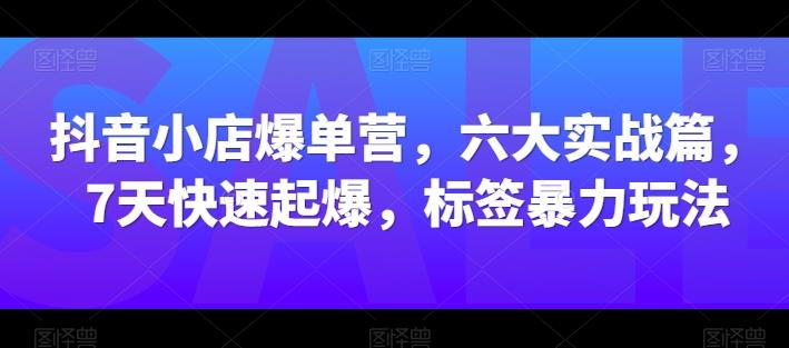 抖音小店爆单营，六大实战篇，7天快速起爆，标签暴力玩法-九洲网