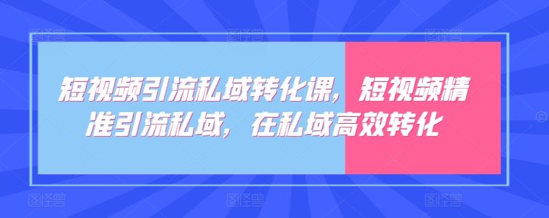 短视频引流私域转化课，短视频精准引流私域，在私域高效转化-九洲网