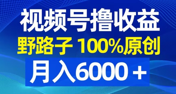 视频号野路子撸收益，100%原创，条条爆款，月入6000＋【揭秘】-九洲网