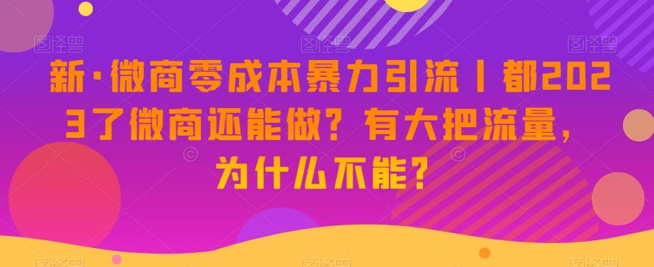 新·微商零成本暴力引流丨都2023了微商还能做？有大把流量，为什么不能？-九洲网