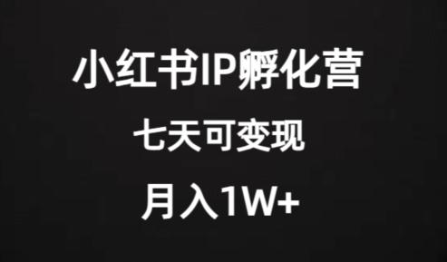 价值2000+的小红书IP孵化营项目，超级大蓝海，七天即可开始变现，稳定月入1W+-九洲网