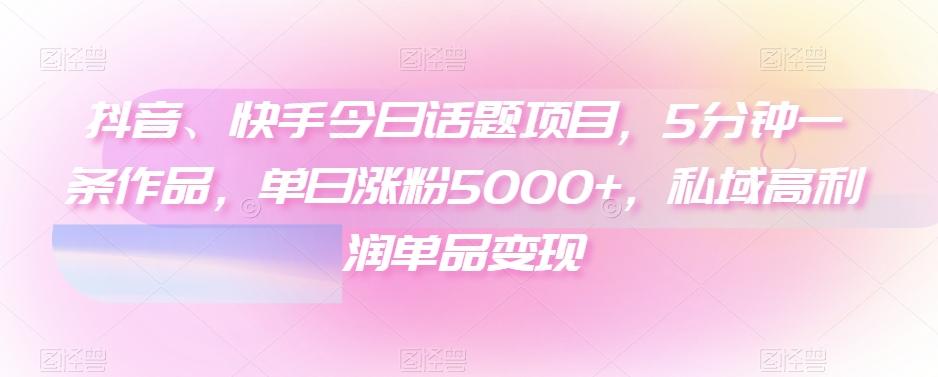 抖音、快手今日话题项目，5分钟一条作品，单日涨粉5000+，私域高利润单品变现-九洲网