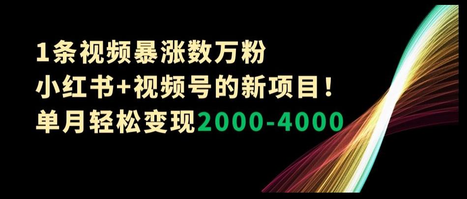 1条视频暴涨数万粉--小红书+视频号的新项目！单月轻松变现2000-4000【揭秘】-九洲网