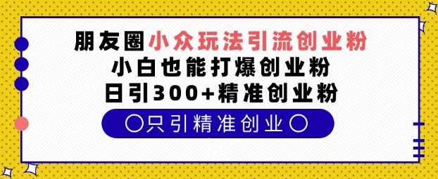 朋友圈小众玩法引流创业粉，小白也能打爆创业粉，日引300+精准创业粉【揭秘】-九洲网
