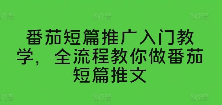 番茄短篇推广入门教学，全流程教你做番茄短篇推文-九洲网