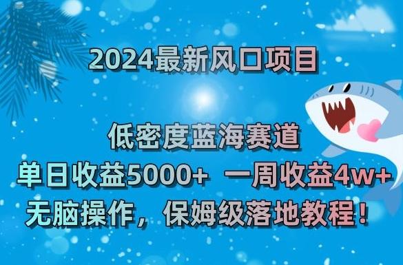 2024最新风口项目，低密度蓝海赛道，单日收益5000+，一周收益4w+！【揭秘】-九洲网