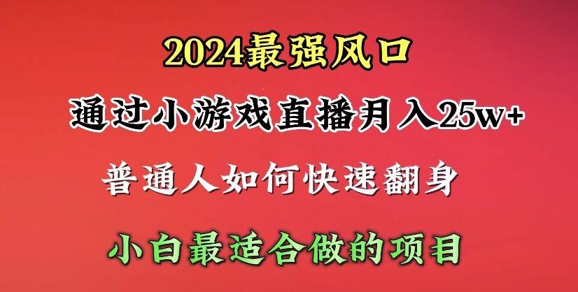 (10020期)2024年最强风口，通过小游戏直播月入25w+单日收益5000+小白最适合做的项目-九洲网