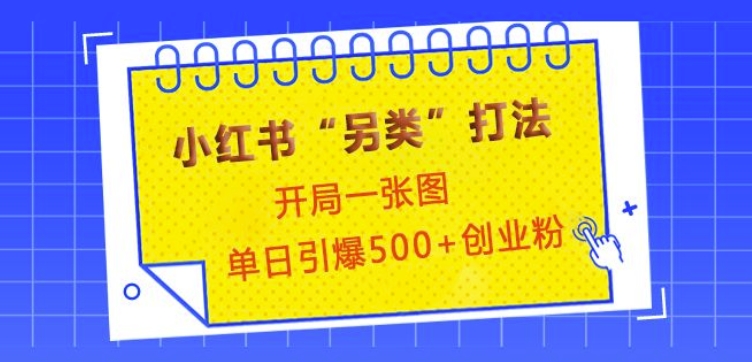 小红书“另类”打法，开局一张图，单日引爆500+精准创业粉【揭秘】-九洲网
