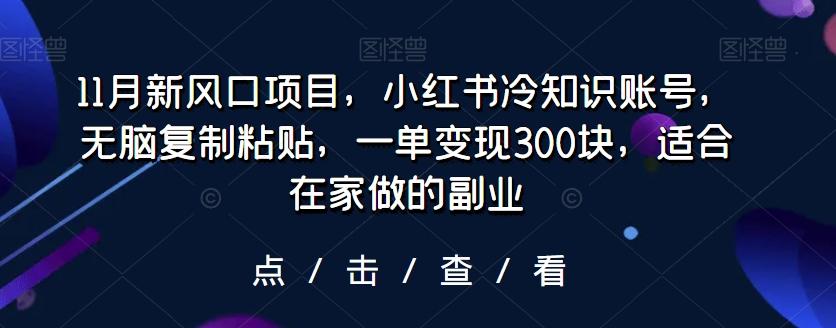 11月新风口项目，小红书冷知识账号，无脑复制粘贴，一单变现300块，适合在家做的副业-九洲网