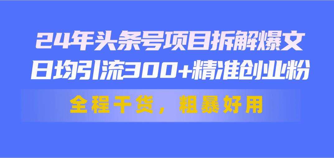 24年头条号项目拆解爆文，日均引流300+精准创业粉，全程干货，粗暴好用-九洲网