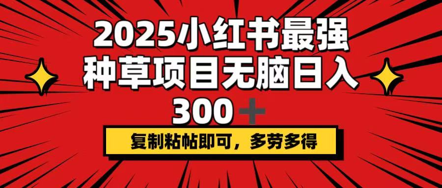 2025小红书最强种草项目，无脑日入300+，复制粘帖即可，多劳多得-九洲网
