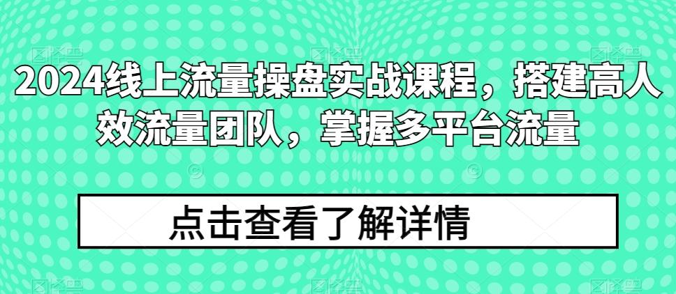 2024线上流量操盘实战课程，搭建高人效流量团队，掌握多平台流量-九洲网