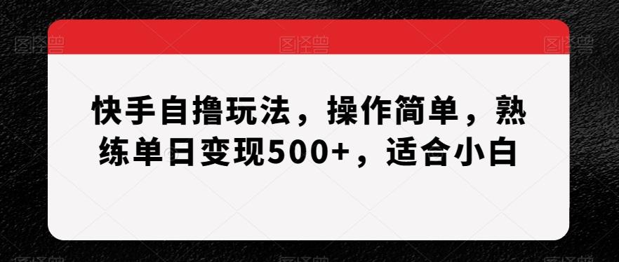 快手自撸玩法，操作简单，熟练单日变现500+，适合小白【揭秘】-九洲网