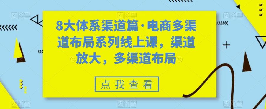 8大体系渠道篇·电商多渠道布局系列线上课，渠道放大，多渠道布局-九洲网