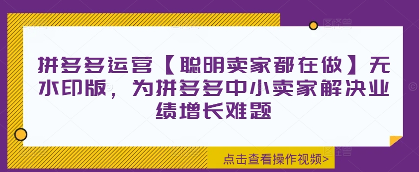 拼多多运营【聪明卖家都在做】无水印版，为拼多多中小卖家解决业绩增长难题-九洲网