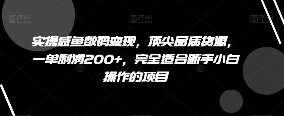 实操咸鱼数码变现，顶尖品质货源，一单利润200+，完全适合新手小白操作的项目【揭秘】-九洲网