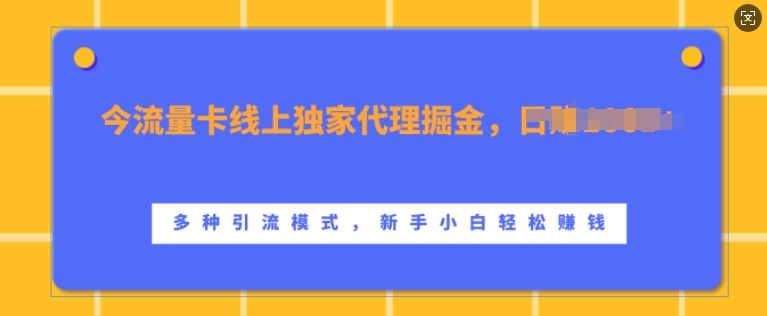 流量卡线上独家代理掘金，日入1k+ ，多种引流模式，新手小白轻松上手【揭秘】-九洲网