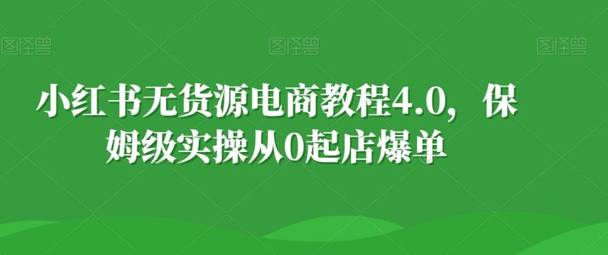小红书无货源电商教程4.0，保姆级实操从0起店爆单【拆解】-九洲网