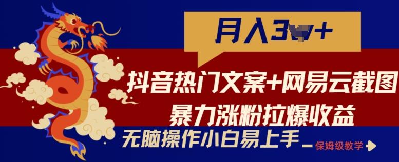 抖音热门文案+网易云截图暴力涨粉拉爆收益玩法，小白无脑操作，简单易上手【揭秘】-九洲网