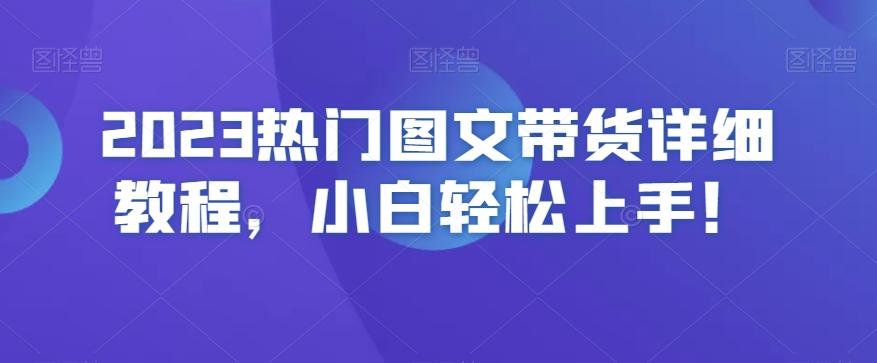 2023热门图文带货详细教程，小白轻松上手！-九洲网