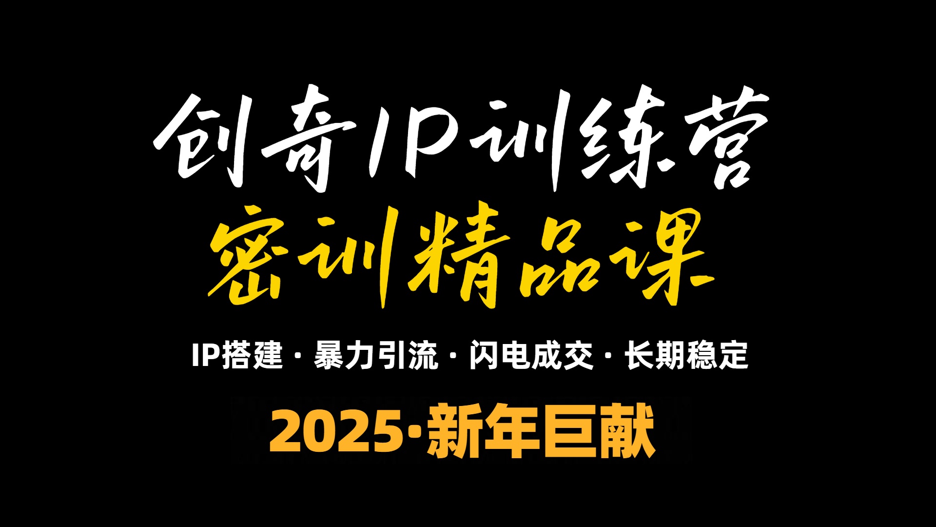 2025年“知识付费IP训练营”小白避坑年赚百万，暴力引流，闪电成交-九洲网