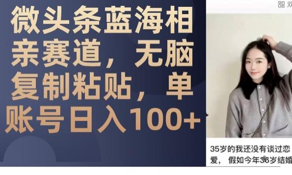 微头条蓝海相亲赛道，无脑复制粘贴，单账号日入100+-九洲网