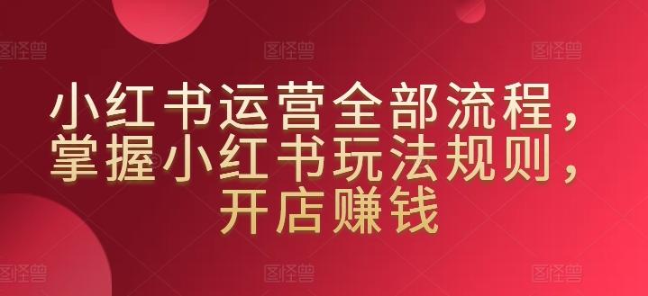 小红书运营全部流程，掌握小红书玩法规则，开店赚钱-九洲网