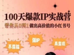 小红书100天爆款IP实战营，带你从0到1做出高价值的小红书号-九洲网