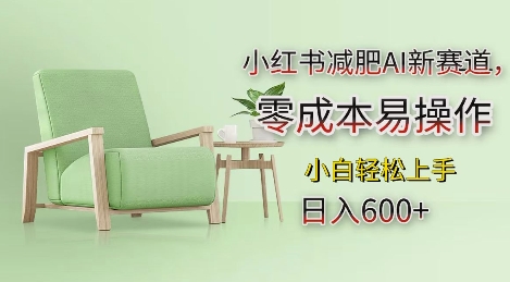 小红书减肥AI新赛道，零成本易操作，日入多张，小白轻松上手【揭秘】-九洲网