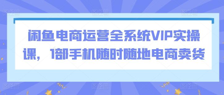 闲鱼电商运营全系统VIP实操课，1部手机随时随地电商卖货-九洲网