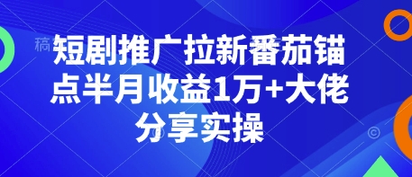 短剧推广拉新番茄锚点半月收益1万+大佬分享实操-九洲网