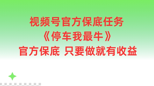 视频号官方保底任务，停车我最牛，官方保底只要做就有收益【揭秘】-九洲网
