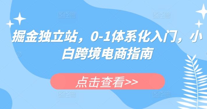 掘金独立站，0-1体系化入门，小白跨境电商指南-九洲网